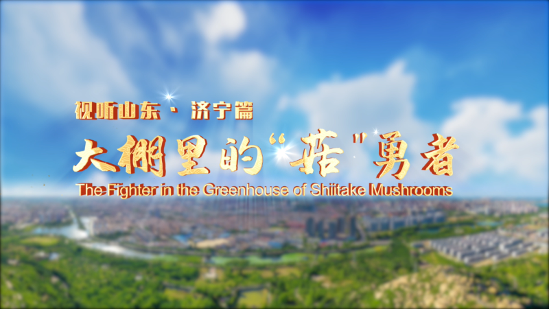 平凡不平凡|大棚里的菇勇者（中英）