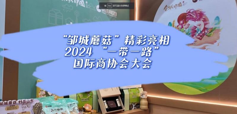 【鄒視頻·新聞】“鄒城蘑菇”精彩亮相 2024 “一帶一路”國際商協會大會