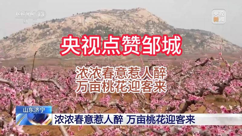 【鄒視頻·新聞】43秒 | 央視點贊鄒城
