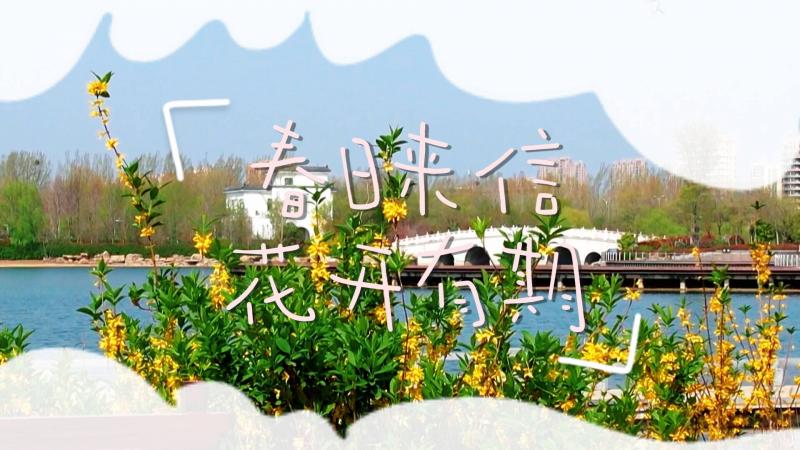 【鄒視頻·新聞】40秒丨春日來信 花開有期