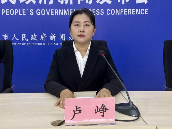 盧崢.jpg